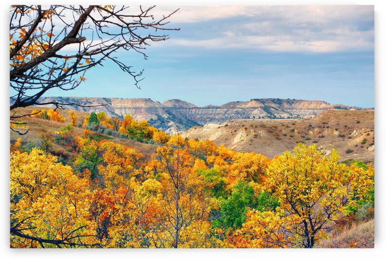 Fall Arrives at Theodore Roosevelt National Park by Bill Swartwout Photography