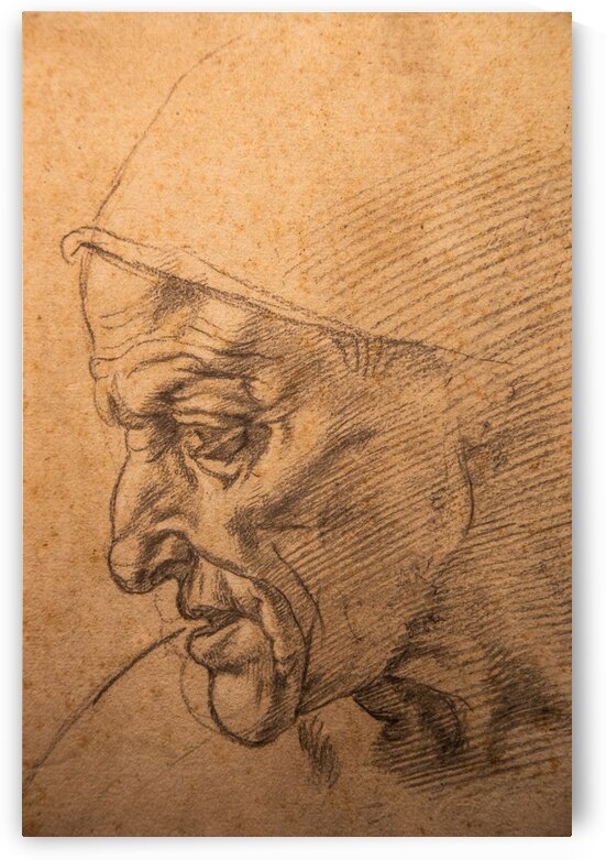 Michelangelo Buonarroti drawing Study for the head of the Cumae by Paolo Modena
