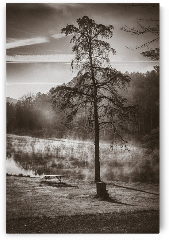 Odd Pair Sepia by Dream World Images