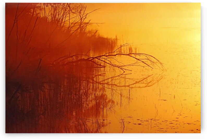 Foggy Glowing Sunrise by Deb Oppermann