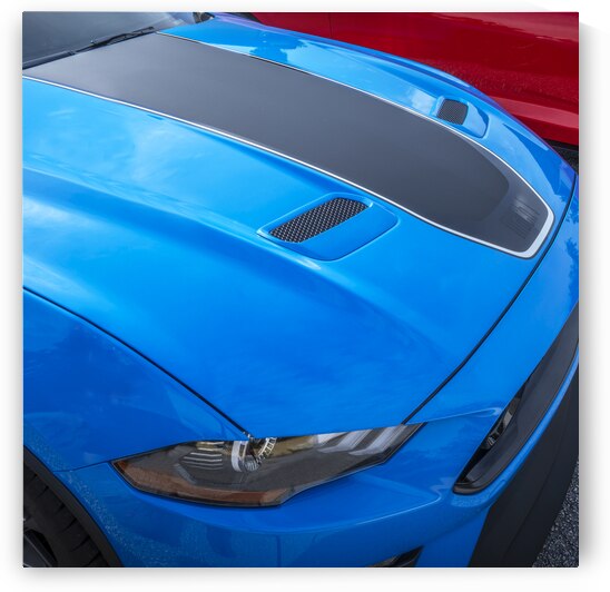 2021 Ford Mustang Mach 1 Grabber Blue X 11 by Rich Franco