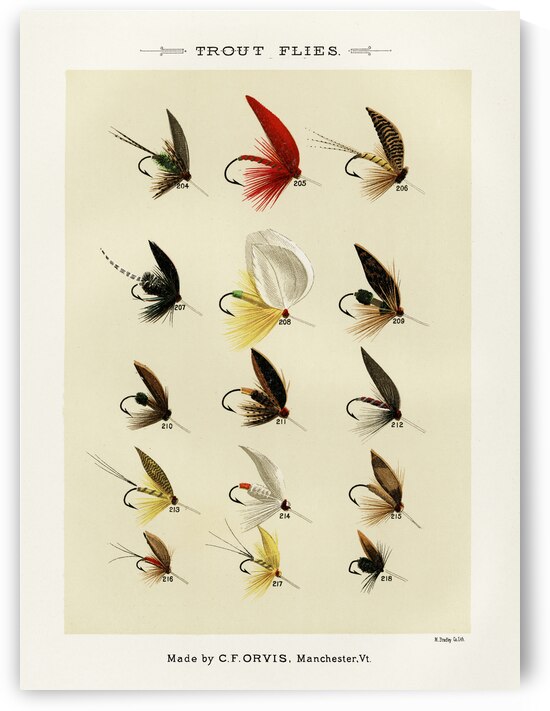Trout Flies  by IStockHistory com