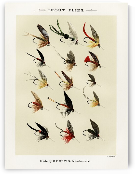 Trout Flies  by IStockHistory com