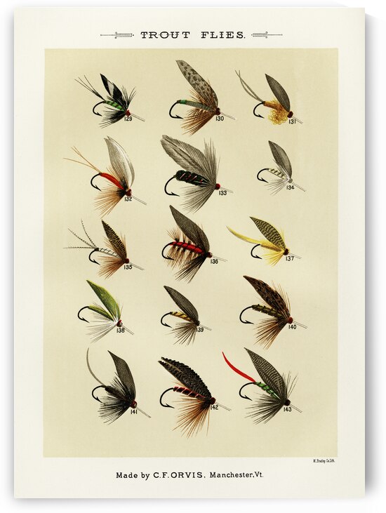 Trout Flies  by IStockHistory com