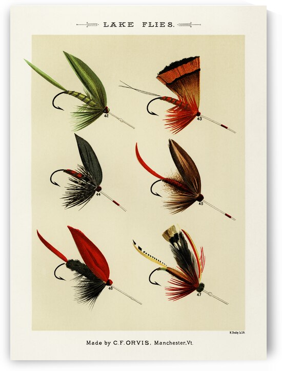 Lake Flies  by IStockHistory com