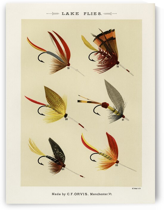 Lake Flies  by IStockHistory com