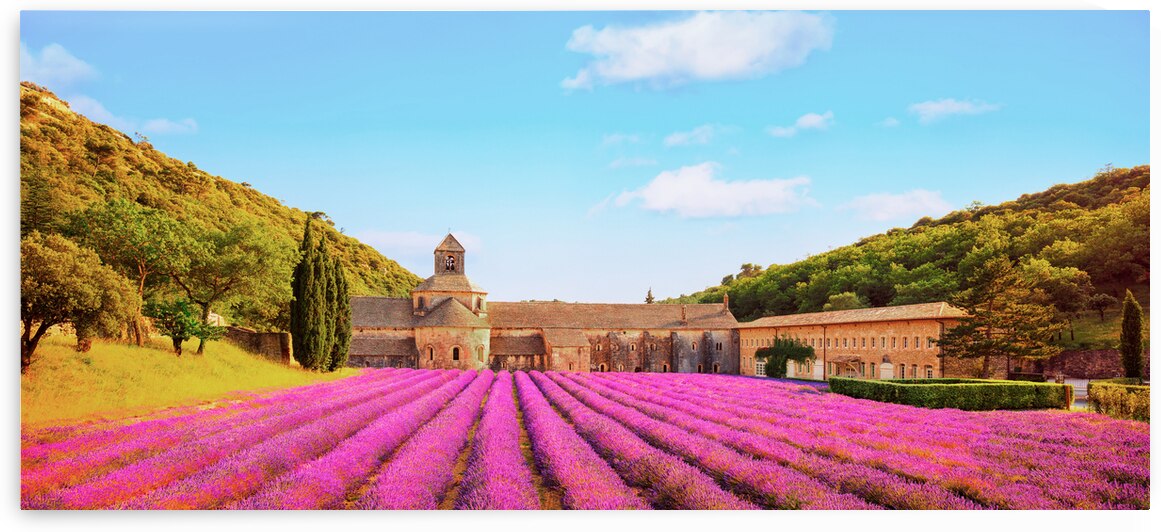 Senanque Abbey and lavender flowers. France by Stefano Orazzini