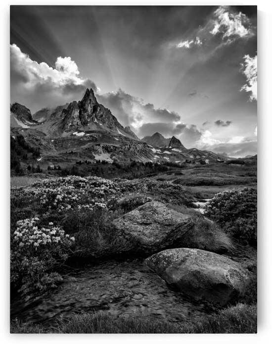Afternoon Light in the Alps 1 by Images By Jon Evan
