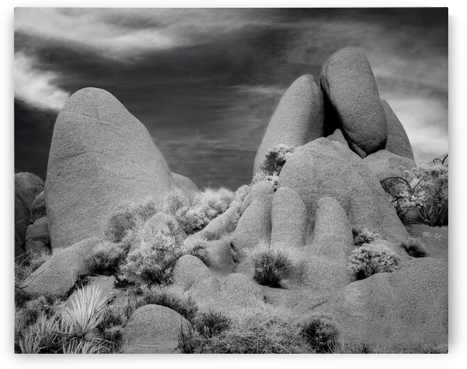 Joshua Tree Desert Rocks Infrared by Jerry Fornarotto