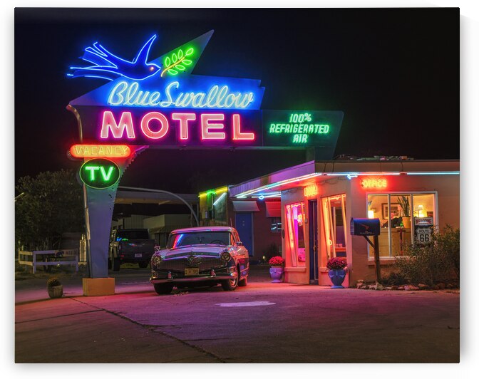 Neon Blue Swallow by Andy Crawford