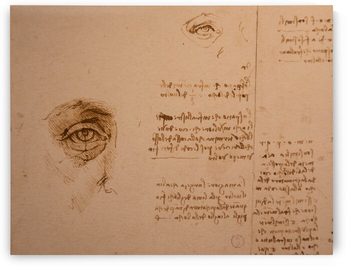 Leonardo da Vinci drawings on handmade cotton paper vintage bac by Paolo Modena