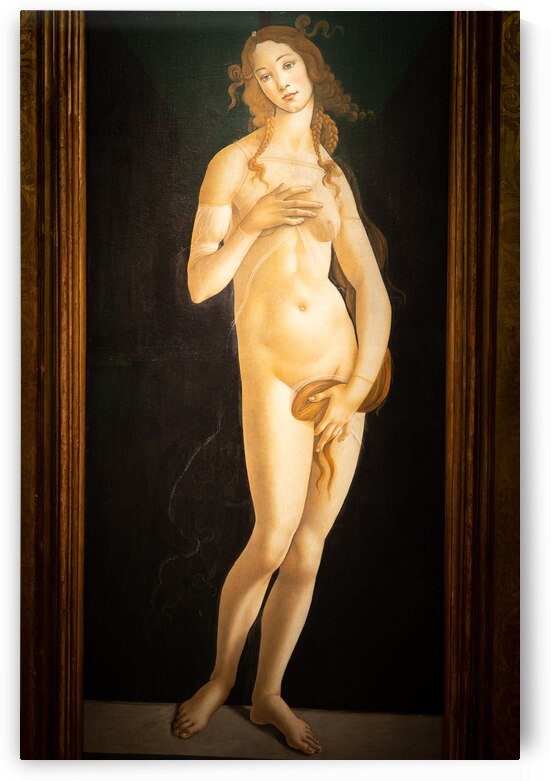 The painting of Venus by Sandro Botticelli oil on canvas 1490 by Paolo Modena