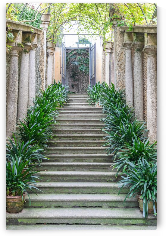 Old staircase in nature. Garden architecture design green natur by Paolo Modena