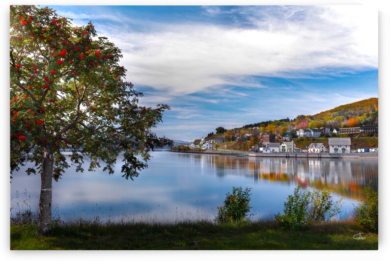 No 108 - Pointe OHara dautomne - Gaspe by Glenn Albert