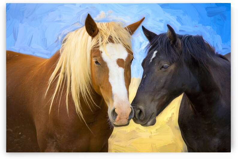 XO4L2194Buddies2Master  Pictorem by Rich Franco