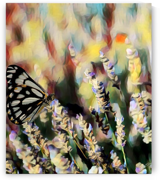 Fluttering Fantasia - Nature Art Print by Corina Ioana