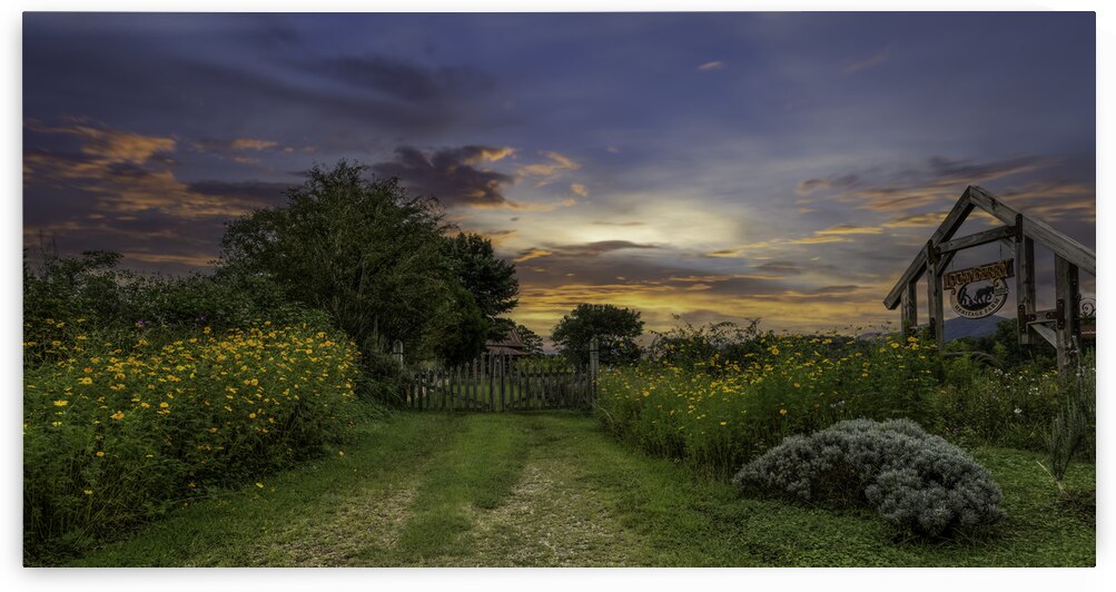 Logan Berry by EarthsMoments by Marc Harris photographer