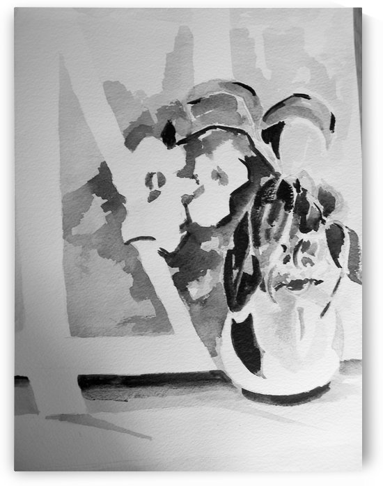 Window Orchid by Adrian Butt