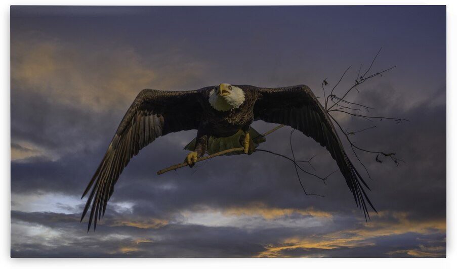 Special delivery  by EarthsMoments by Marc Harris photographer