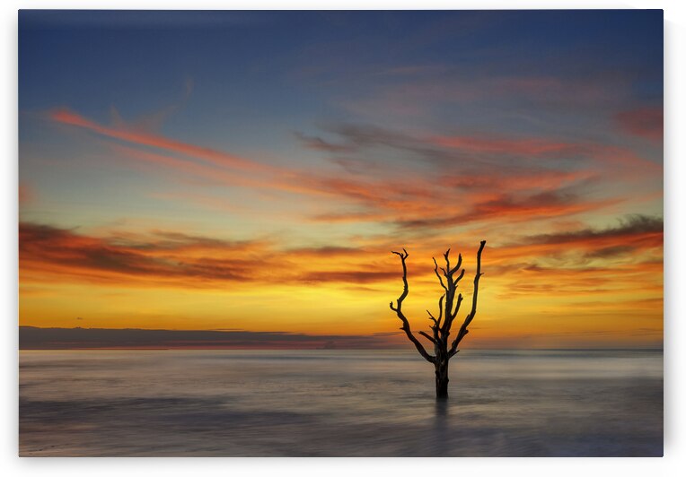 Sunrise on Botany Beach by Images By Jon Evan