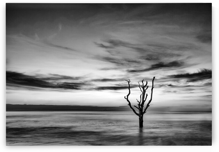 Sunrise on Botany Beach II by Images By Jon Evan