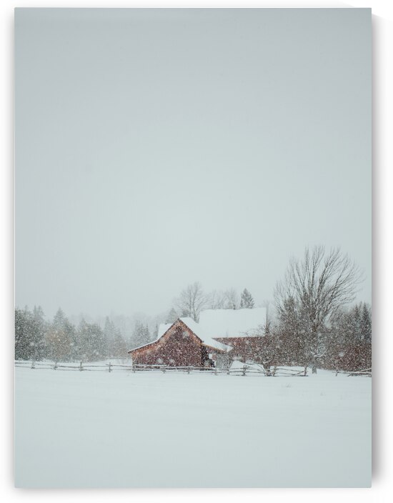 Sous la neige by StephanieAllard
