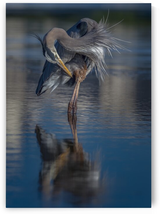 Strike a pose by EarthsMoments by Marc Harris photographer