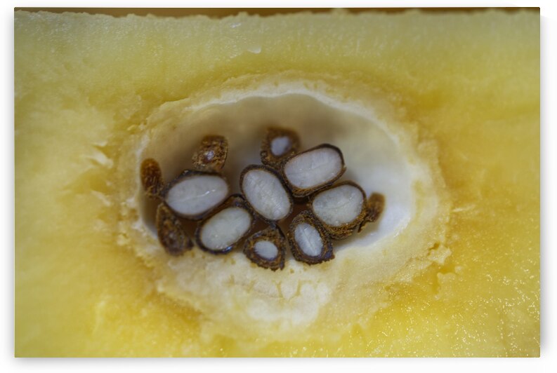 Heart of The golden Quince I by Iris H Richardson