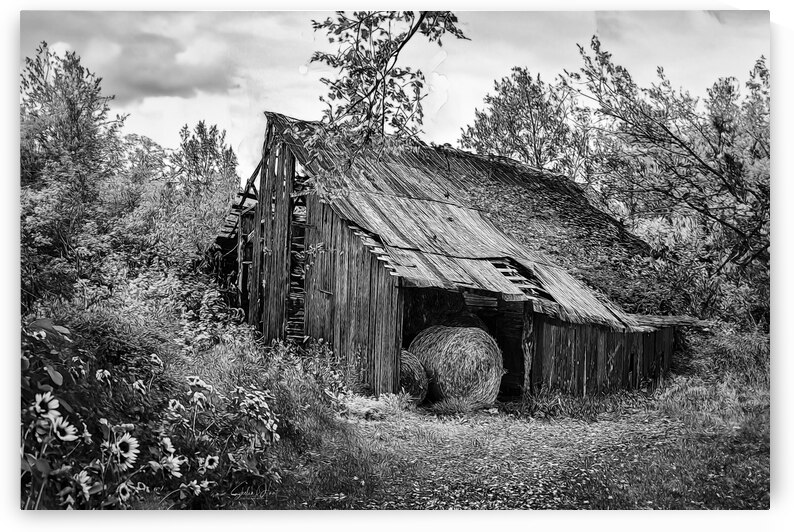 Grandfathers Barn by Shelia Hunt Photography