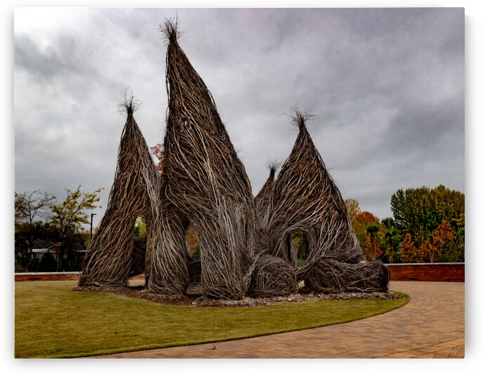 Montgomery Alabama Park Outdoor Art by Norma Brandsberg Photography
