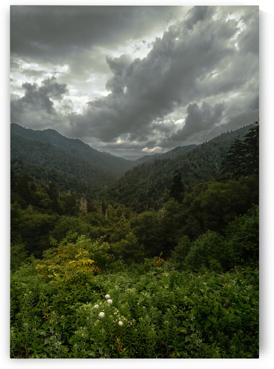 Smoky Mountains Gap Storm by Norma Brandsberg Photography