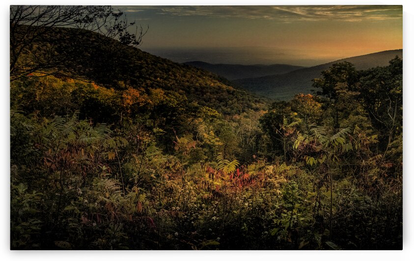Blue Ridge Layers of Autumn by Norma Brandsberg Photography