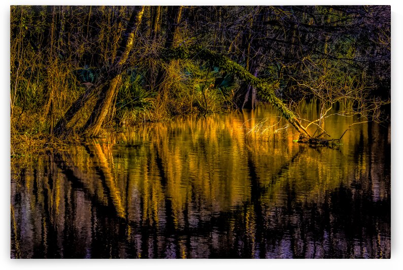 Martin Lake Sunset Branch Reflections by Norma Brandsberg Photography