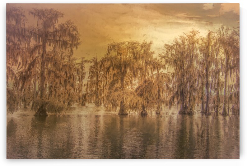 Lake Martin the Vale of Gold by Norma Brandsberg Photography