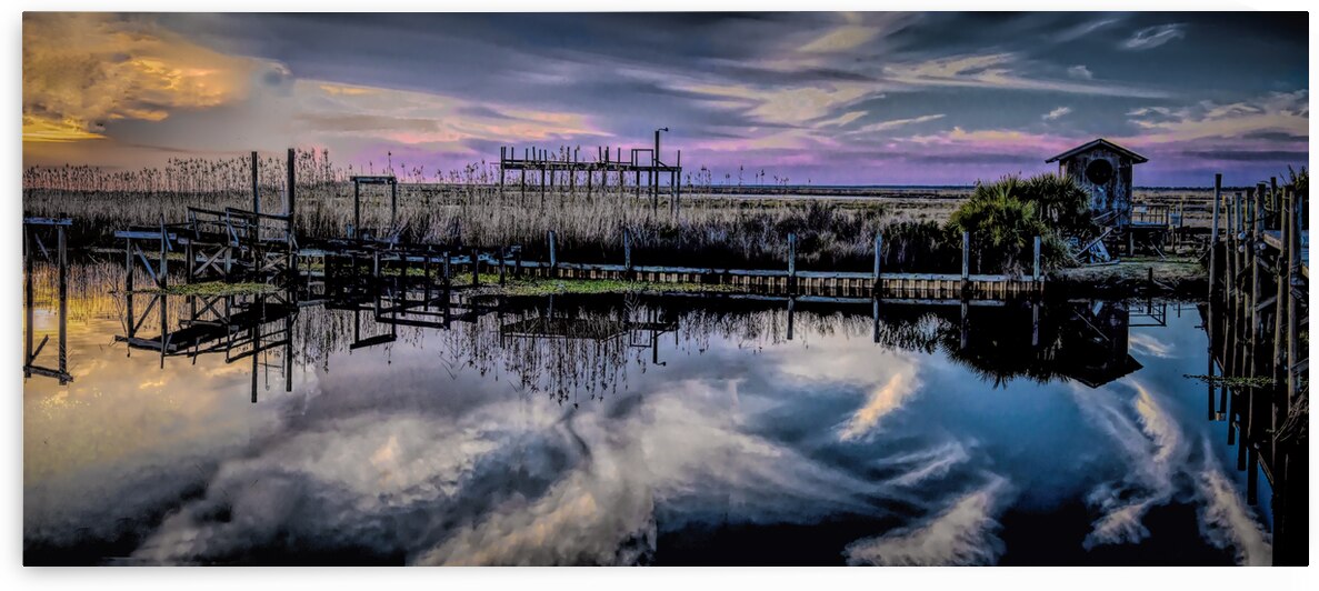Louisiana Bayou Panorama by Norma Brandsberg Photography