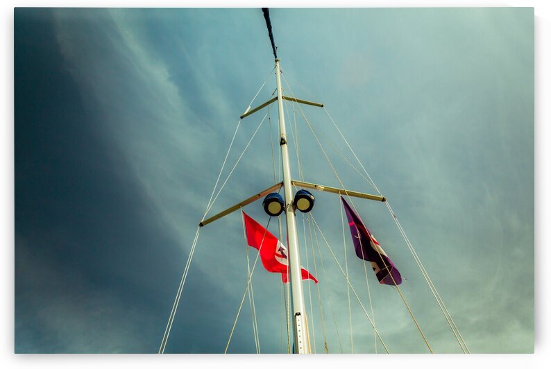 Low angle view of yacht sails by Maor Winetrob