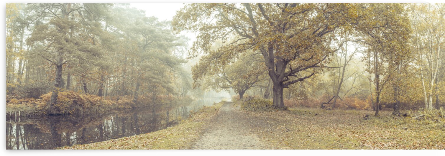 Misty Canal by Assaf Frank