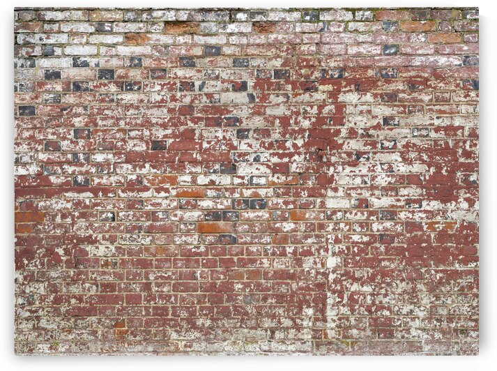 Aged Wall by Assaf Frank