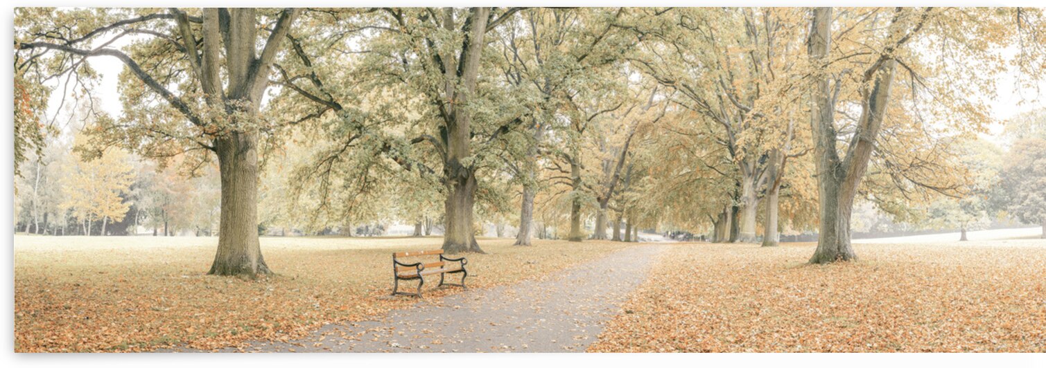 Pathway through autumn park by Assaf Frank