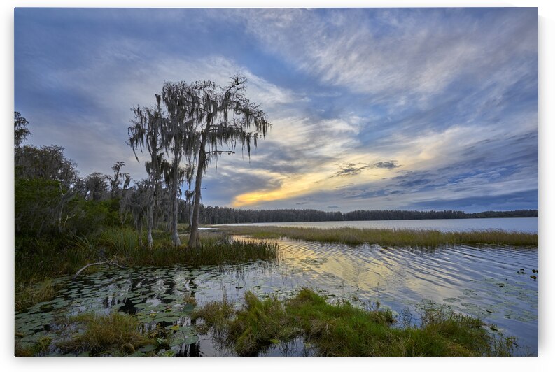 A new sunset at Lake Louisa by Images By Jon Evan