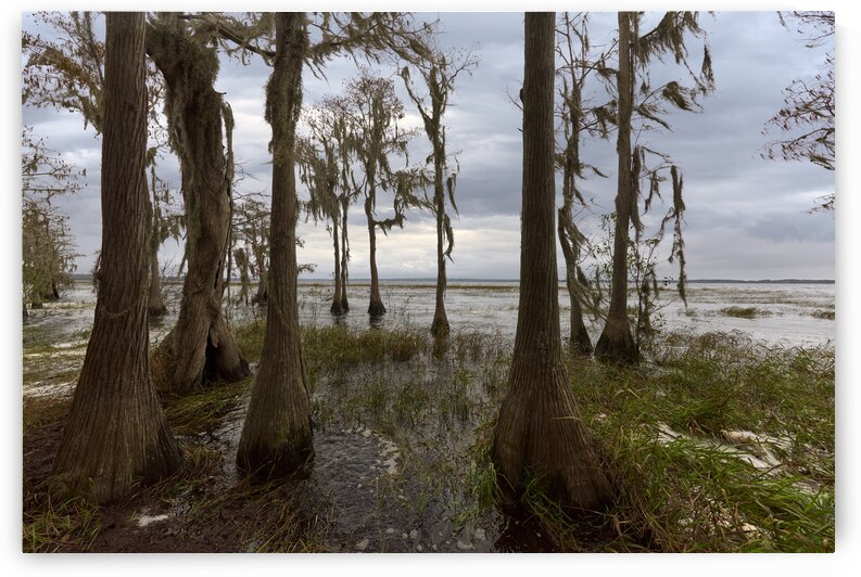 A new Versions of Lake Louisa by Images By Jon Evan