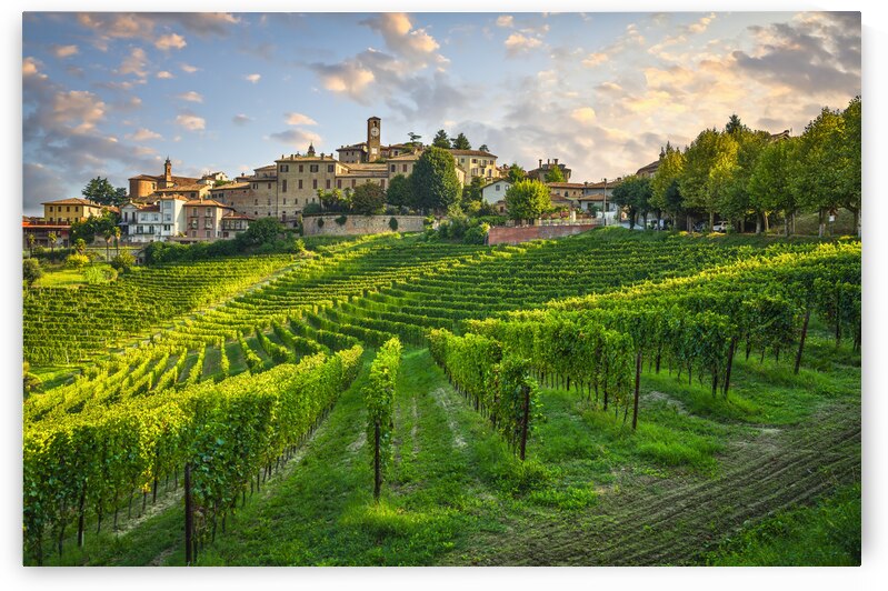 Neive village and Langhe vineyards. Italy by Stefano Orazzini