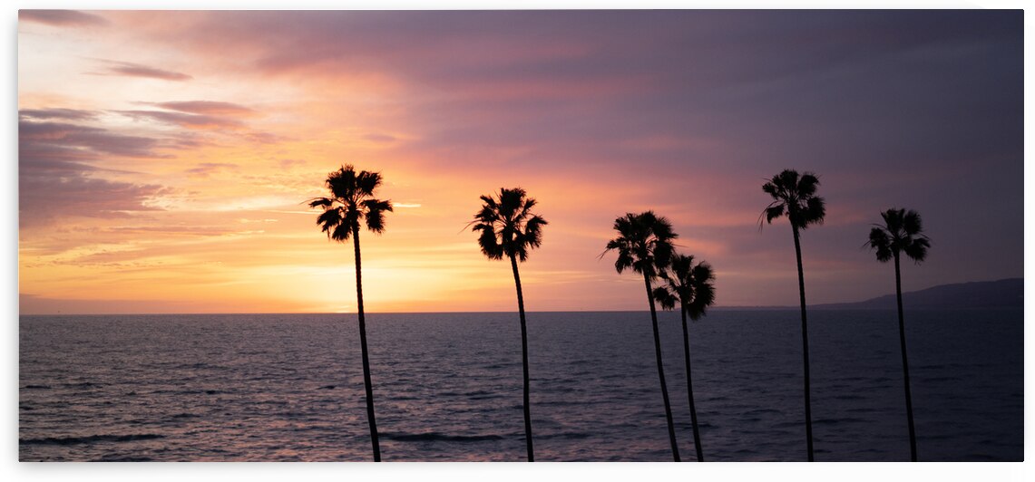 Palm Trees Against the Sunset by Jean Dzhermakyan