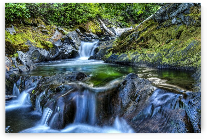 Paradise River Cascade by Gary M Slane