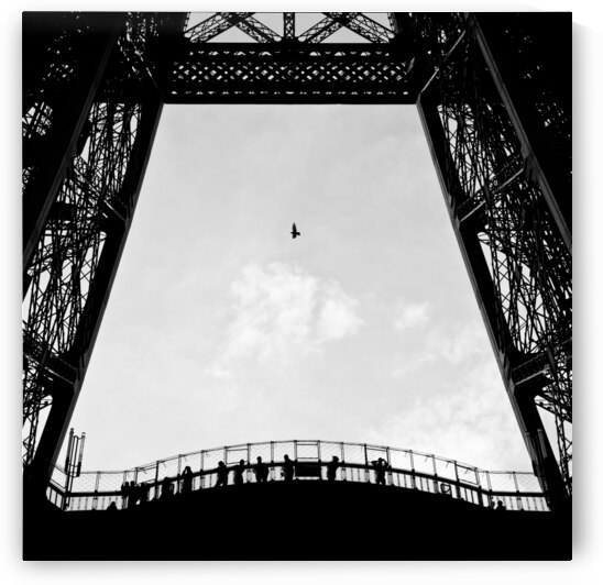 Birds-Eye View by Dave Bowman