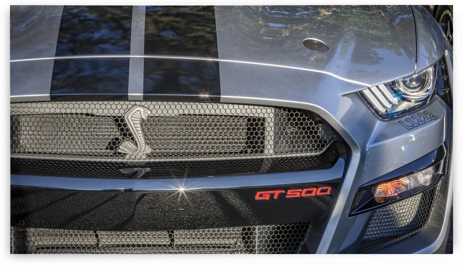 2020 Silver Ford Mustang Shelby GT500 X 2 by Rich Franco