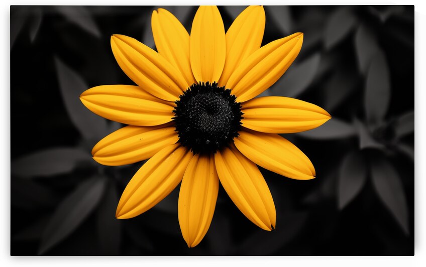 Lone Glow – Yellow Sunflower on Black Print by Savage Art Prints