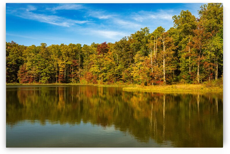 Fall leaves surround reservoir in Coopers Rock State Forest in W by Steve Heap