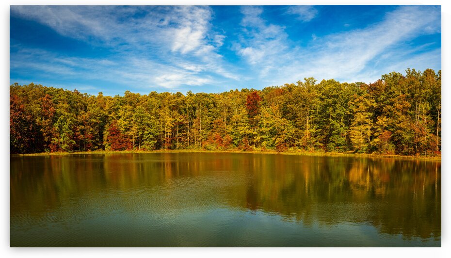 Fall leaves surround reservoir in Coopers Rock State Forest in W by Steve Heap