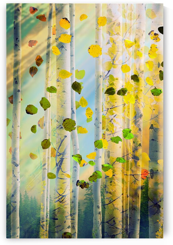 AUTUM DRIFTERS by Ede J Sartori